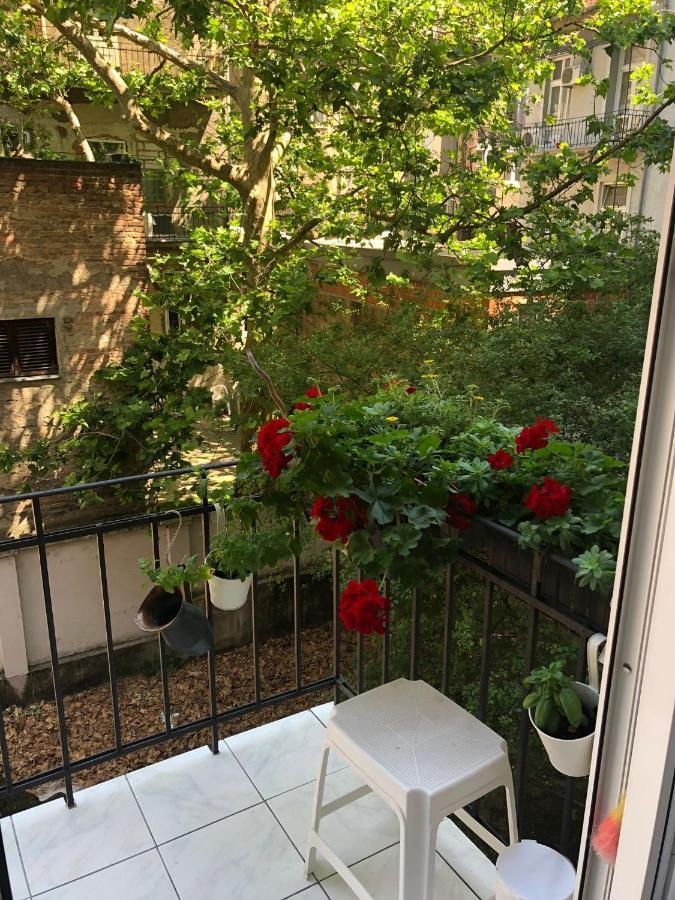 Apartman Manja ザグレブ エクステリア 写真